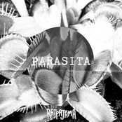 Parasita