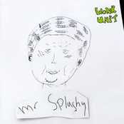 Wonk Unit – Mr Splashy