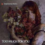 Too Much For You