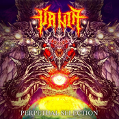 Perpetual Selection