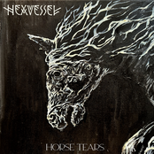 Horse Tears