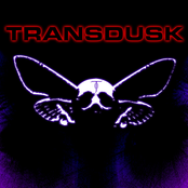 Transdusk