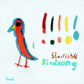 Birdsong