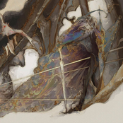 Shadow Dancer