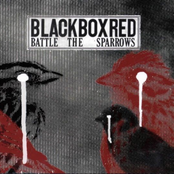 Battle The Sparrows
