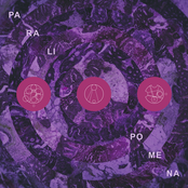 Paralipomena