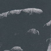 Habit