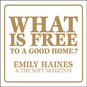 What Is Free to a Good Home? cover