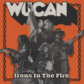 Irons in the Fire