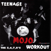 The 5.6.7.8’s – Teenage Mojo Workout