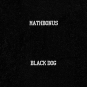 Black Dog