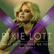 What Do You Take Me For? cover