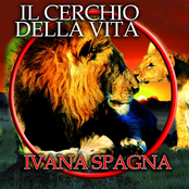 Il cerchio della vita cover