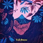 Te Ao Mārama cover
