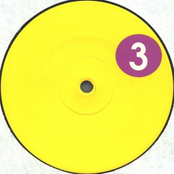 Syn 3