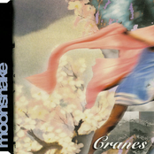 Cranes