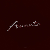 Amante