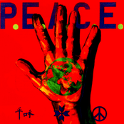 Wargasm – P.E.A.C.E / War