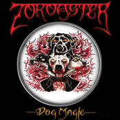Dog Magic