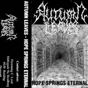 Autumn Leaves – Hope Springs Eternal