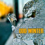 Odd Winter