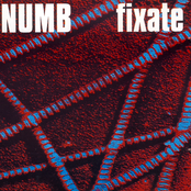 Fixate