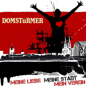 Domstürmer – Meine Liebe, meine Stadt, mein Verein