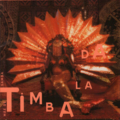 Mãe De Samba