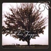 'Til The Last Leaf Falls
