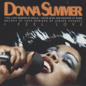 I Feel Love (Remixed by Rollo / Sister Bliss and Masters At Work) cover