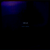 Veils