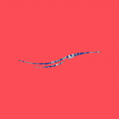 Wall Sailor