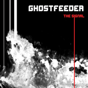 The Signal