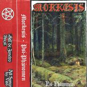 Psi-Phänomen