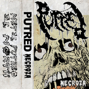 Necroza