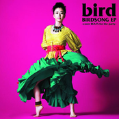 BIRDSONG EP -cover BEATS for the party-