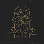 Taming Tongues