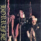 Prophecy of gore