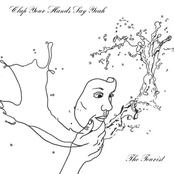 Clap Your Hands Say Yeah – The Tourist