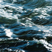 Silver Shoals Of Light