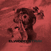 Elwood Stray – No Cure