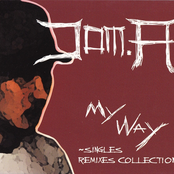 My Way ~Singles Remixes Collection