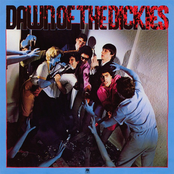 The Dickies – Dawn of The Dickies
