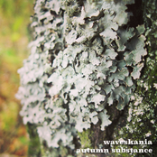 Autumn Substance