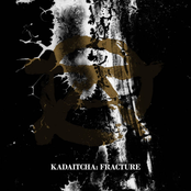 Fracture