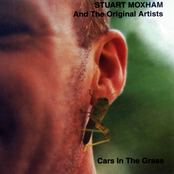Cars in the Grass