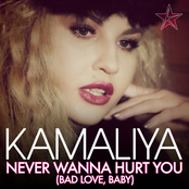 Never Wanna Hurt You [Bad Love, Baby] (Remixes)