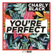Charly Black – You're Perfect