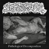 Pathological Decomposition