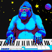 Spacerilla